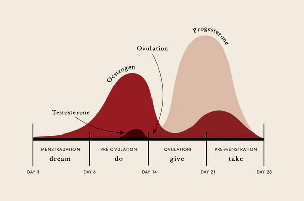 Harnessing the power of your menstrual cycle